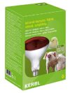 LAMPADE INFRAROSSI 150W VETRO DURO ROSSO