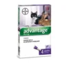 BAYER ADVANTAGE GATTI SUPERIORE A 4 KG E OLTRE 1 CONFEZIONE 4 PIPETTE