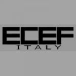 Logo Ecef 150x150